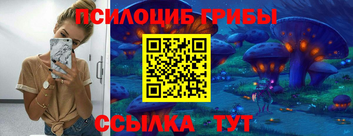 Галлюциногенные грибы GOLDEN TEACHER  Псилоцибиновые грибы прущие грибы  Вход с VPN  Анапа 